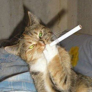 мишаня кондициN