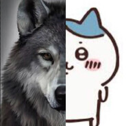 jskoo