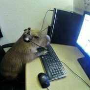 Technician capybara
