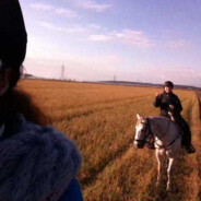 Calypso9876    (FR/QC)