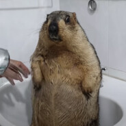 マーモット本司令部