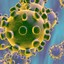 Coronavirus-