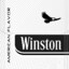 Winston.MDP