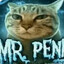 MR PENIS