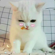 你看见我的电弧星了吗