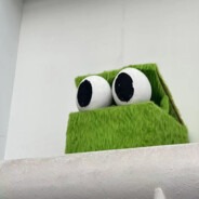 今天喝冰可乐了嘛