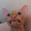 t0x1ctat3r