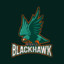 BLACKHAWK