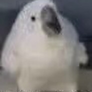 这波进行一个进攻