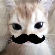 osborn的U•ェ•*U