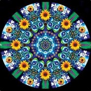 db - steam id 76561197967532372