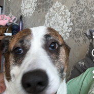 240km\мирошка