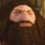 PS1Hagrid