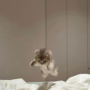 Я поклонник Вики!!!