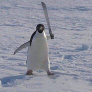 ANTARCTICA Penguin