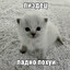 Пздц, ладно похyй #