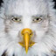 Marvin Beak
