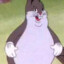 CHUNGUS