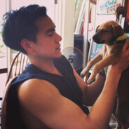 超级无敌暴龙战士