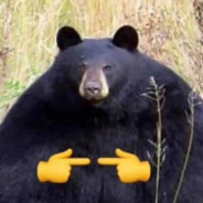 steven napleton 's avatar