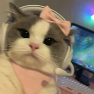 Kris♡ - steam id 76561199649320910