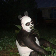 panda
