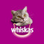 whiskas