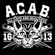 AllCatsAreBeautiful