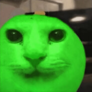Avatar snapshot