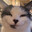 IndividualFelineCharacter