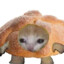 Fokuser