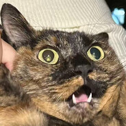 天才魔法小狗会调药水