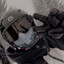 Lieutenant. Dragibus
