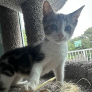 Jordan(they/them) avatar