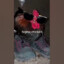 SIGMA CHICKEN