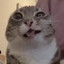Hamsu