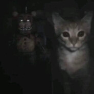 Gatito