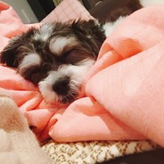 别再用我的小号了求求你