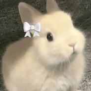 汉堡