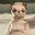 monke