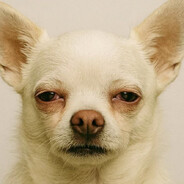 Zaluplik - steam id 76561199117253223