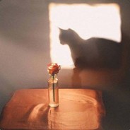 死去的艺术家@(本人已退