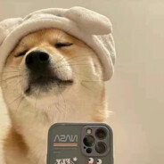 锁天锁地不如锁我牛子