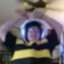 The Bee