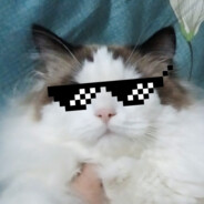 史丹利不是史丹妮