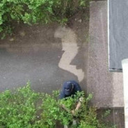 why can't i roll in peace