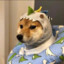 hhh大白