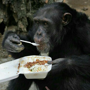 monkespanker's avatar