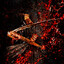 Reign