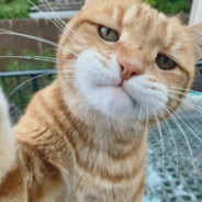 队友拉枪我拉电，藏着大电拉小电